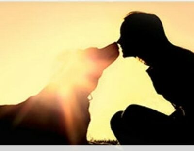 une silhouhette d'un humain et d'un chien nez à nez