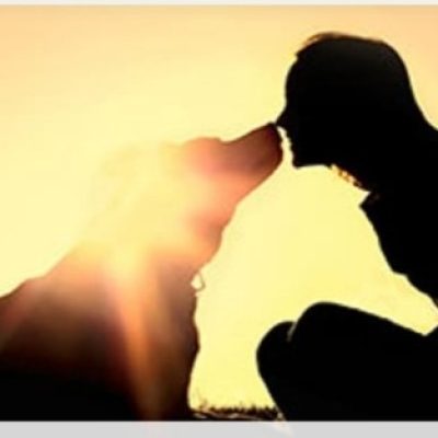 une silhouhette d'un humain et d'un chien nez à nez