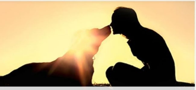 deuil animal une silhouhette d'un humain et d'un chien nez à nez