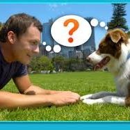 Comp animalier – Com animale un homme est face à face avec son chien et le regarde dans les yeux.