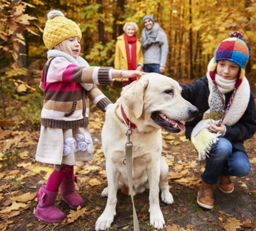 Kids stroking their lovely pet