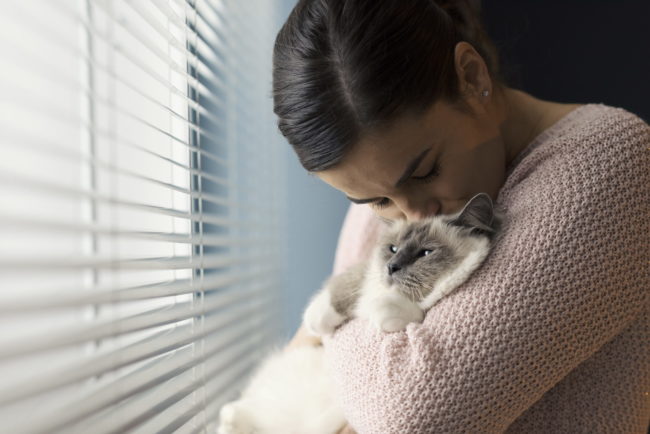 animaux et coronavirus