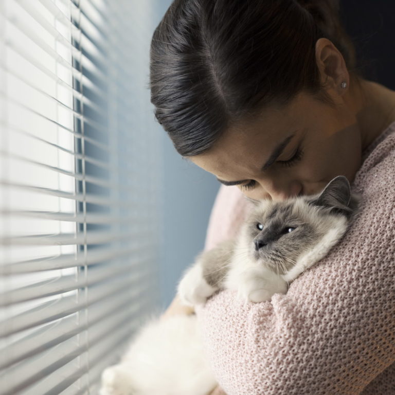 animaux et coronavirus