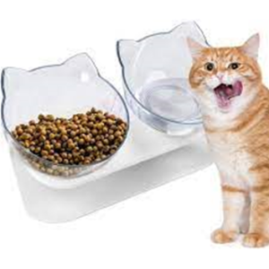 chat alimentation