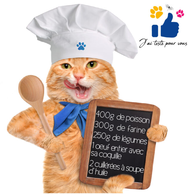 326435297_673033631263484_8097415249071047298_n (1) Un chat roux porte une toque de chef et tient une cuillère en bois