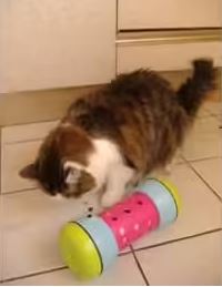 jouet interactif chat qui distribue des croquettes en roulant