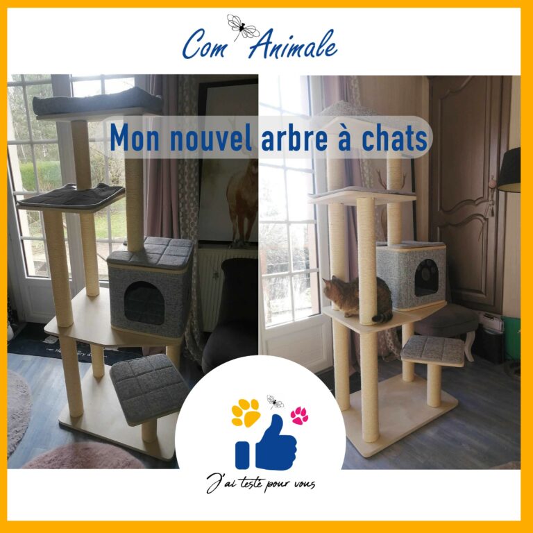arbre à chat un grand arbre à chat avec plusieurs plateformes et des niches
