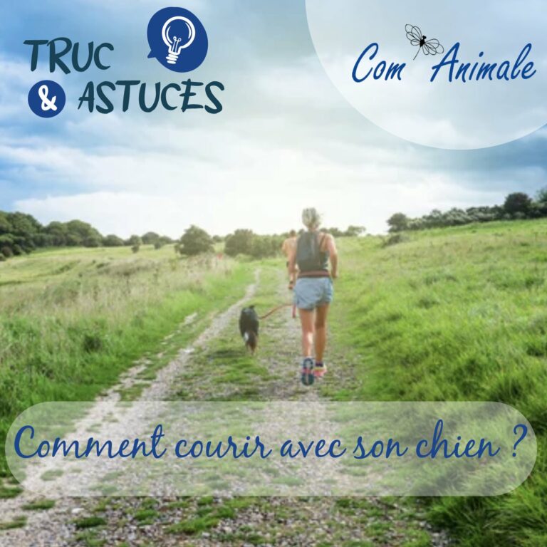 canicross comment courir avec son chien photo d'une femme qui courre avec son chien sur un chemin de campagne