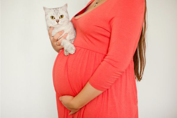 photo d'une femme enceinte qui porte dans ses bras un chat roux et blanc