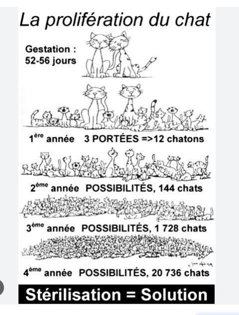 dessin représentant la prolifération des chats errants