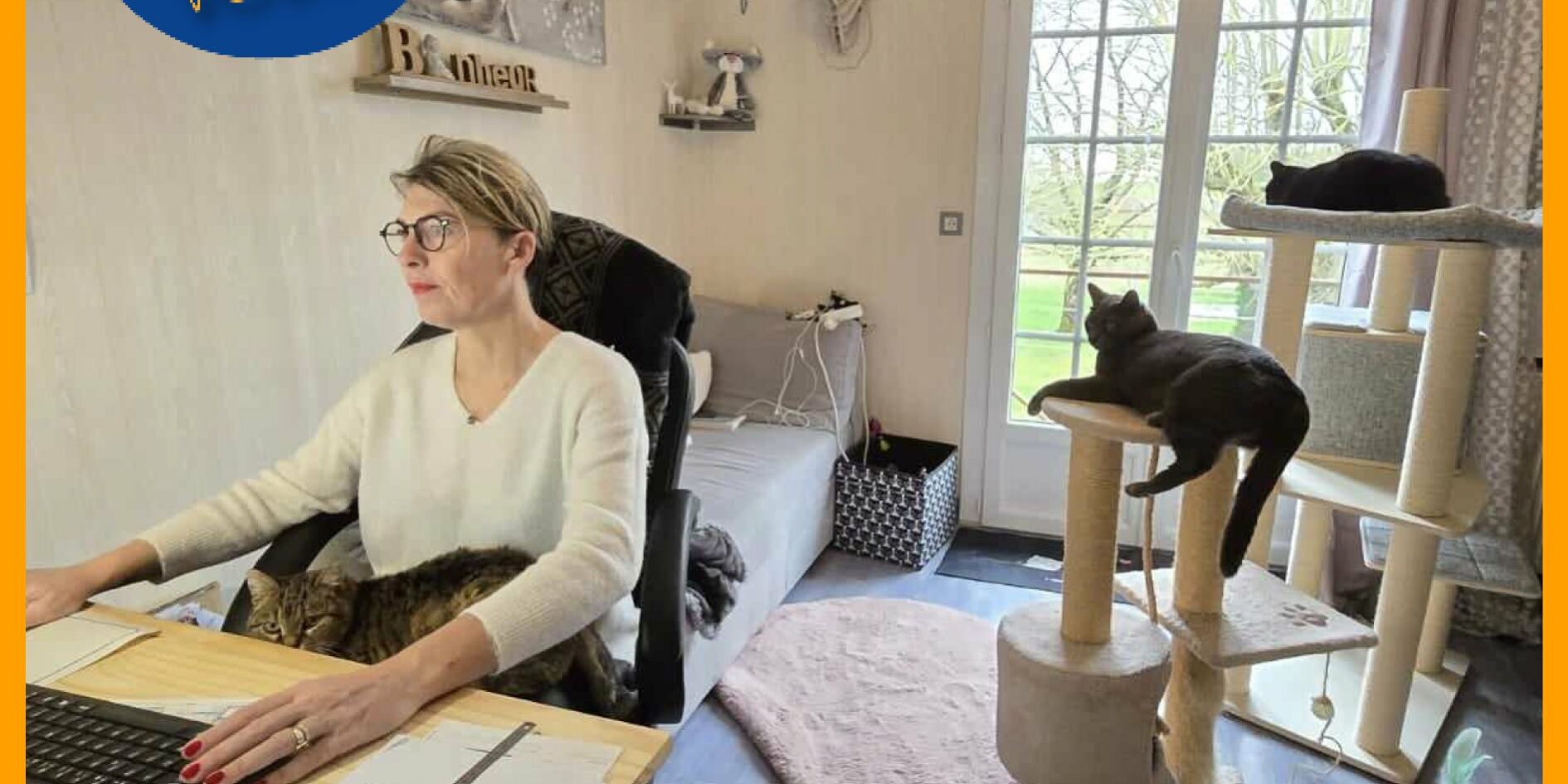 une femme travaille à son bureau avec un chat sur ses genoux et deux chats dans un arbre à chats