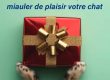 cadeaux de noël chat