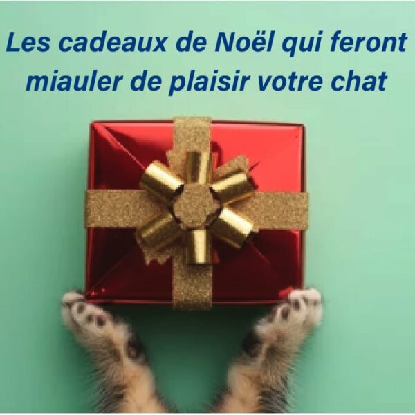 cadeaux de noël chat