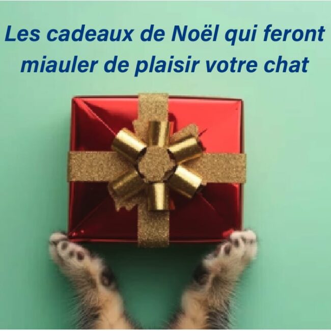 cadeau de noel chat cadeaux de noël chat
