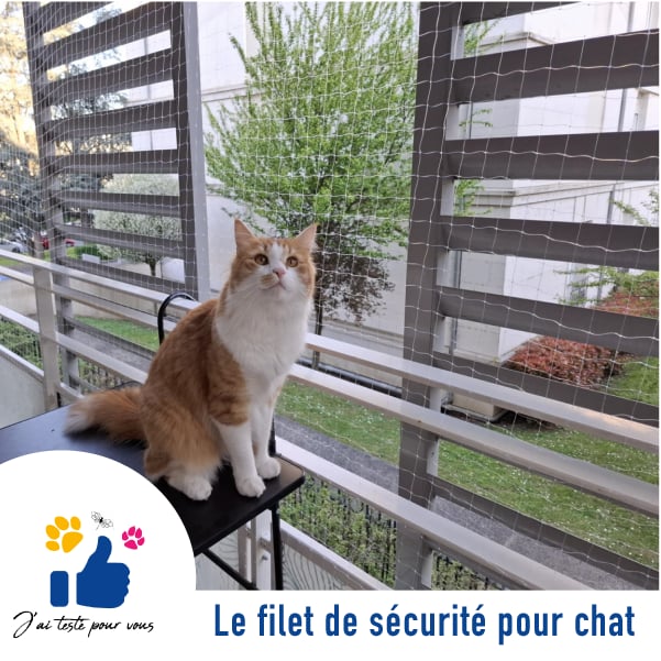 filet de protection pour chat photo carré filet de protection pour chat
