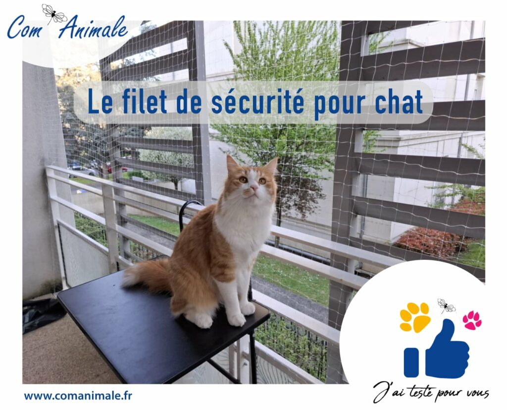 filet de protection pour chat