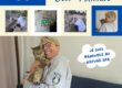 photo montage d'un chien berger australien qui aboie
