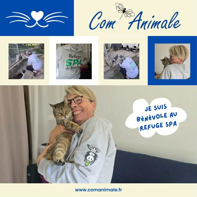 etre bénévole photo montage d'un chien berger australien qui aboie