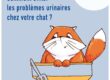 illustration d'un chat roux dans sa litière