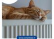 photo d'un chat roux qui dort sur une radiateur