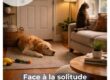 un chien et un chat qui dorment de solitude