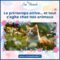photomontage d'un chat roux au milieu de fleurs de printemps