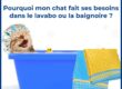 illustration d'un chat roux dans une baignoire