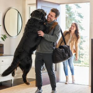 chien qui saute sur les invités