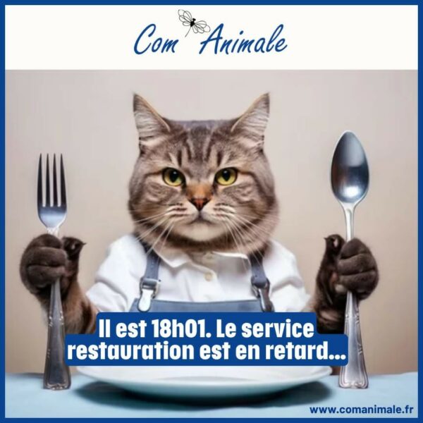 photomontage d'un chat à l'heure du repas