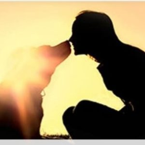 une silhouette d'un humain et d'un chien nez à nez