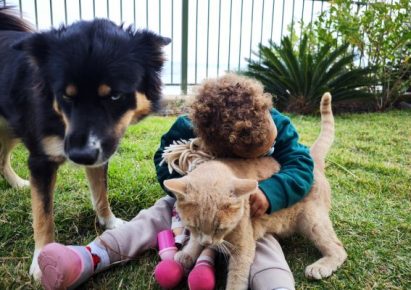 photo d'un petit garçon qui tient dans ses bras un petit chat roux et un chiot berger australien