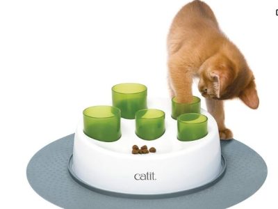 photo d'un chat avec une gamelle interactive